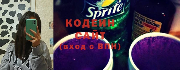 прущая мука Вяземский