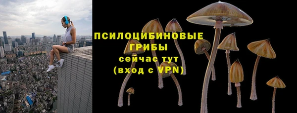 кокаин премиум Няндома
