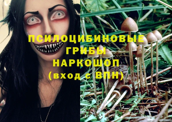 ALPHA-PVP Нягань