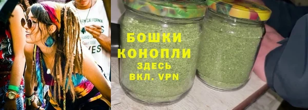 молекула духа Протвино