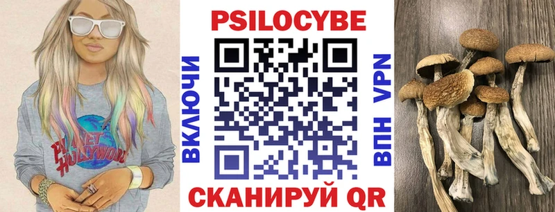Галлюциногенные грибы Magic Shrooms  Дзержинск 