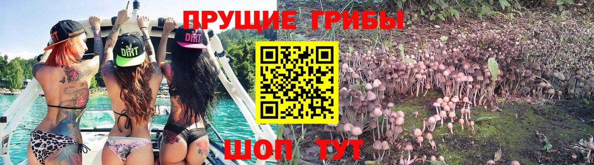 Галлюциногенные грибы Magic Shrooms  Псилоцибиновые грибы GOLDEN TEACHER  Дзержинск 